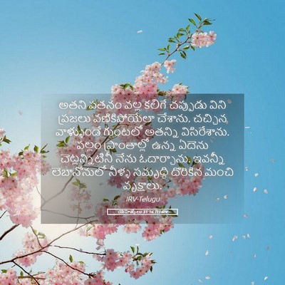 Picture 05 - యెహెజ్కేలు 31:16 TELIRV - అతని పతనం వల్ల - Bible Verse Picture