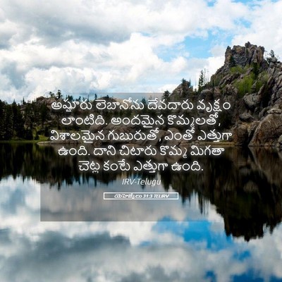 Picture 05 - యెహెజ్కేలు 31:3 TELIRV - అష్షూరు లెబానోను - Bible Verse Picture