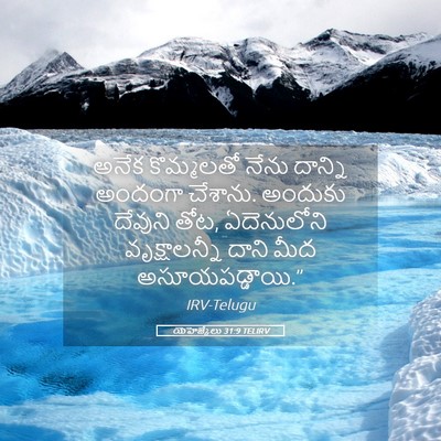 Picture 05 - యెహెజ్కేలు 31:9 TELIRV - అనేక కొమ్మలతో - Bible Verse Picture
