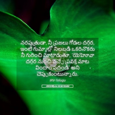 Picture 05 - యెహెజ్కేలు 33:30 TELIRV - నరపుత్రుడా, నీ - Bible Verse Picture