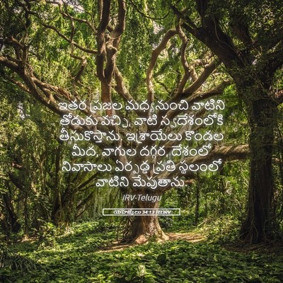 Picture 05 - యెహెజ్కేలు 34:13 TELIRV - ఇతర ప్రజల - Bible Verse Picture