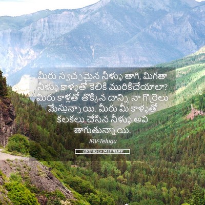 Picture 05 - యెహెజ్కేలు 34:19 TELIRV - మీరు స్వచ్ఛమైన - Bible Verse Picture