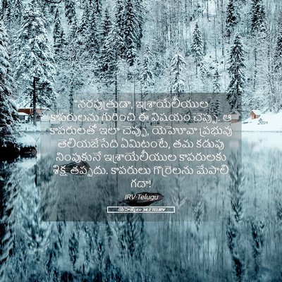 Picture 05 - యెహెజ్కేలు 34:2 TELIRV - “నరపుత్రుడా, - Bible Verse Picture