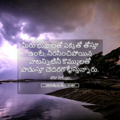 Picture 05 - యెహెజ్కేలు 34:21 TELIRV - మీరు భుజాలతో - Bible Verse Picture
