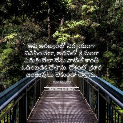 Picture 05 - యెహెజ్కేలు 34:25 TELIRV - అవి అరణ్యంలో - Bible Verse Picture