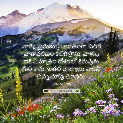 Picture 05 - యెహెజ్కేలు 34:29 TELIRV - వాళ్ళ పైరుకు - Bible Verse Picture