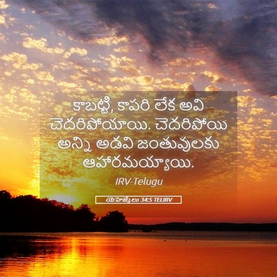 Picture 05 - యెహెజ్కేలు 34:5 TELIRV - కాబట్టి, కాపరి లేక - Bible Verse Picture