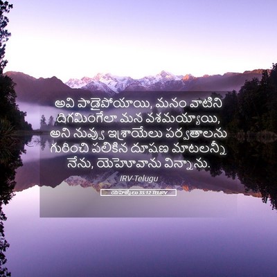 Picture 05 - యెహెజ్కేలు 35:12 TELIRV - అవి పాడైపోయాయి, - Bible Verse Picture