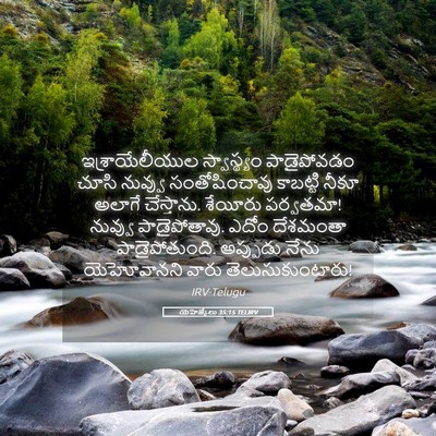 Picture 05 - యెహెజ్కేలు 35:15 TELIRV - ఇశ్రాయేలీయుల - Bible Verse Picture