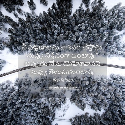 Picture 05 - యెహెజ్కేలు 35:4 TELIRV - నీ పట్టణాలను - Bible Verse Picture