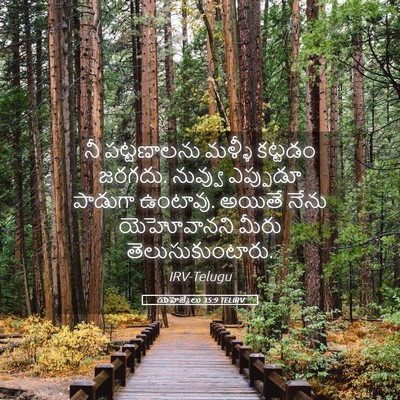Picture 05 - యెహెజ్కేలు 35:9 TELIRV - నీ పట్టణాలను - Bible Verse Picture