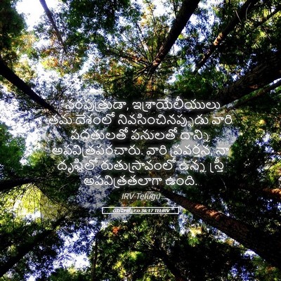 Picture 05 - యెహెజ్కేలు 36:17 TELIRV - “నరపుత్రుడా, - Bible Verse Picture
