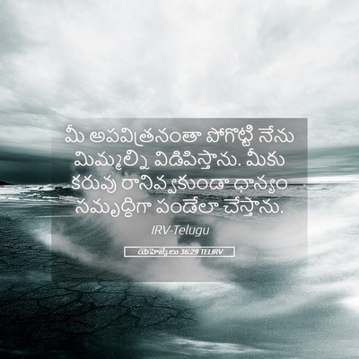 Picture 05 - యెహెజ్కేలు 36:29 TELIRV - మీ అపవిత్రనంతా - Bible Verse Picture