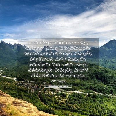 Picture 05 - యెహెజ్కేలు 36:3 TELIRV - అందుచేత ప్రవచించి - Bible Verse Picture