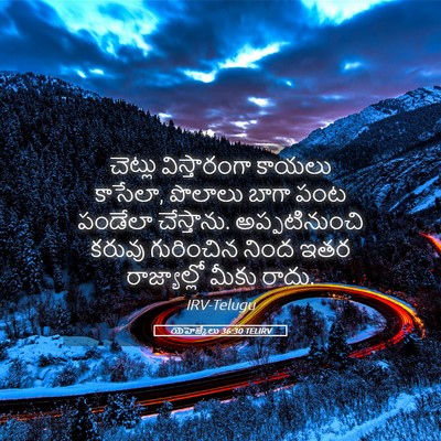 Picture 05 - యెహెజ్కేలు 36:30 TELIRV - చెట్లు విస్తారంగా - Bible Verse Picture