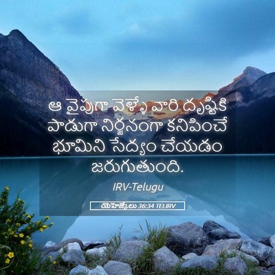 Picture 05 - యెహెజ్కేలు 36:34 TELIRV - ఆ వైపుగా వెళ్ళే - Bible Verse Picture