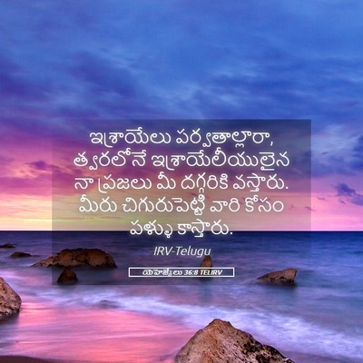 Picture 05 - యెహెజ్కేలు 36:8 TELIRV - ఇశ్రాయేలు - Bible Verse Picture