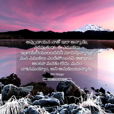 Picture 05 - యెహెజ్కేలు 37:11 TELIRV - అప్పుడాయన నాతో - Bible Verse Picture