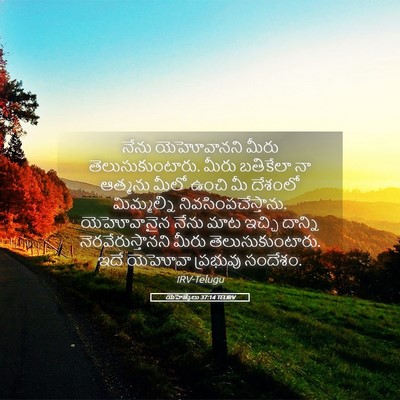 Picture 05 - యెహెజ్కేలు 37:14 TELIRV - నేను యెహోవానని - Bible Verse Picture