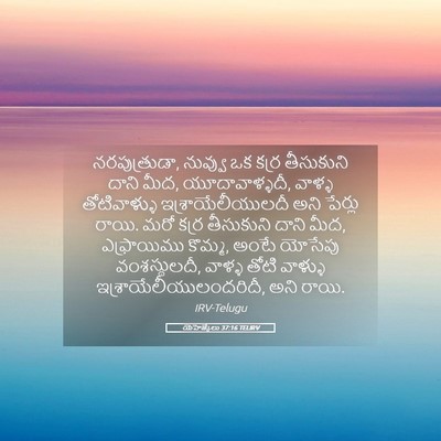Picture 05 - యెహెజ్కేలు 37:16 TELIRV - నరపుత్రుడా, - Bible Verse Picture