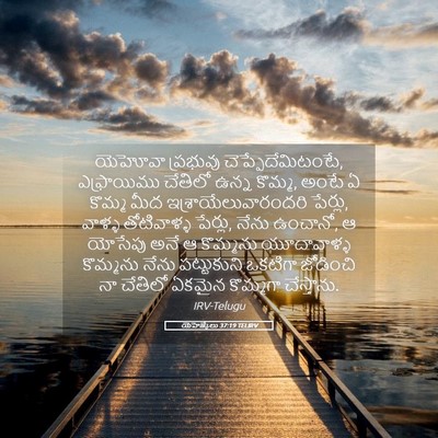 Picture 05 - యెహెజ్కేలు 37:19 TELIRV - యెహోవా ప్రభువు - Bible Verse Picture