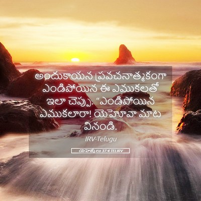 Picture 05 - యెహెజ్కేలు 37:4 TELIRV - అందుకాయన - Bible Verse Picture