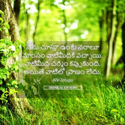 Picture 05 - యెహెజ్కేలు 37:8 TELIRV - నేను చూస్తూ ఉంటే - Bible Verse Picture