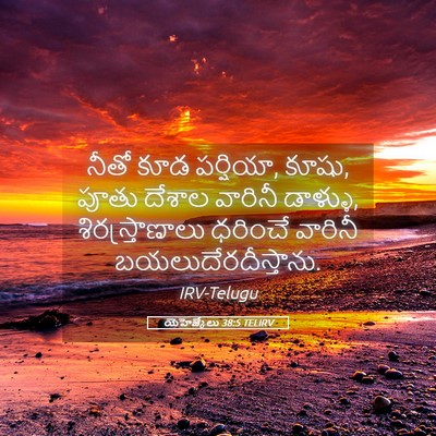 Picture 05 - యెహెజ్కేలు 38:5 TELIRV - నీతో కూడ పర్షియా, - Bible Verse Picture