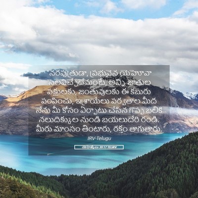 Picture 05 - యెహెజ్కేలు 39:17 TELIRV - “నరపుత్రుడా, - Bible Verse Picture