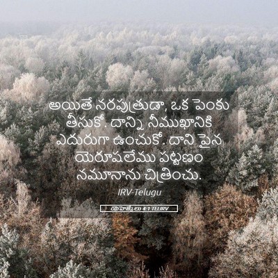 Picture 05 - యెహెజ్కేలు 4:1 TELIRV - అయితే నరపుత్రుడా, - Bible Verse Picture