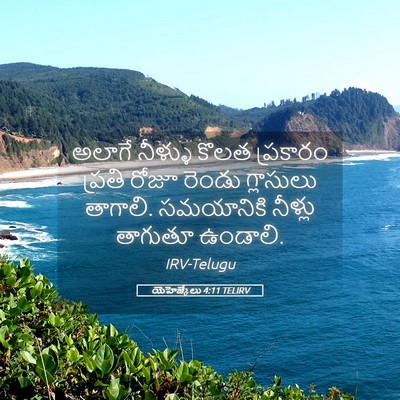 Picture 05 - యెహెజ్కేలు 4:11 TELIRV - అలాగే నీళ్ళు కొలత - Bible Verse Picture