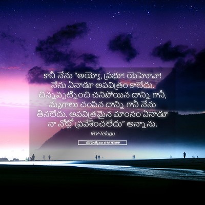 Picture 05 - యెహెజ్కేలు 4:14 TELIRV - కానీ నేను “అయ్యో, - Bible Verse Picture