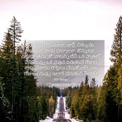 Picture 05 - యెహెజ్కేలు 4:9 TELIRV - నీ కోసం గోధుమలూ, - Bible Verse Picture