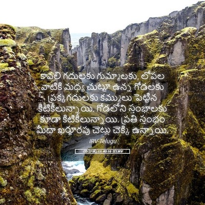 Picture 05 - యెహెజ్కేలు 40:16 TELIRV - కావలి గదులకు - Bible Verse Picture