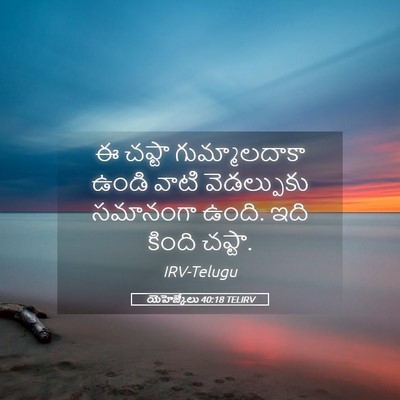 Picture 05 - యెహెజ్కేలు 40:18 TELIRV - ఈ చప్టా - Bible Verse Picture
