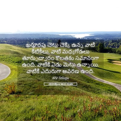 Picture 05 - యెహెజ్కేలు 40:22 TELIRV - ఖర్జూరపు చెట్లు - Bible Verse Picture