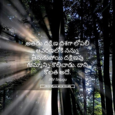 Picture 05 - యెహెజ్కేలు 40:28 TELIRV - అతడు దక్షిణ దిశగా - Bible Verse Picture