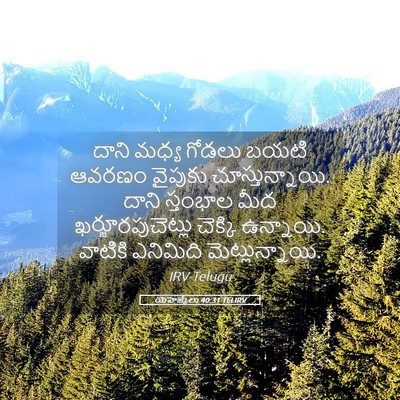 Picture 05 - యెహెజ్కేలు 40:31 TELIRV - దాని మధ్య గోడలు - Bible Verse Picture
