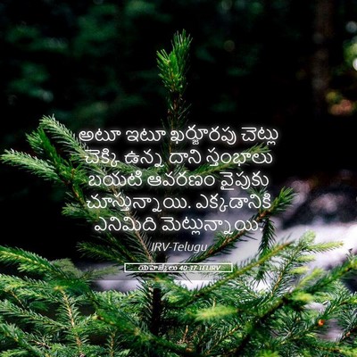 Picture 05 - యెహెజ్కేలు 40:37 TELIRV - అటూ ఇటూ ఖర్జూరపు - Bible Verse Picture