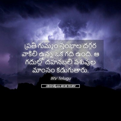 Picture 05 - యెహెజ్కేలు 40:38 TELIRV - ప్రతి గుమ్మం - Bible Verse Picture