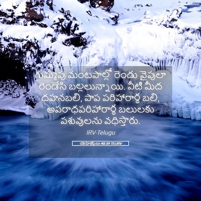 Picture 05 - యెహెజ్కేలు 40:39 TELIRV - గుమ్మపు మంటపాల్లో - Bible Verse Picture