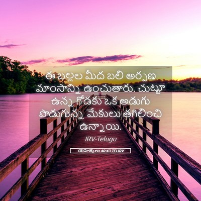 Picture 05 - యెహెజ్కేలు 40:43 TELIRV - ఈ బల్లల మీద బలి - Bible Verse Picture