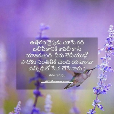Picture 05 - యెహెజ్కేలు 40:46 TELIRV - ఉత్తరం వైపుకు - Bible Verse Picture