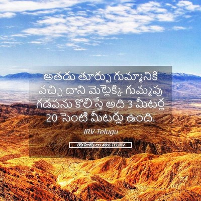 Picture 05 - యెహెజ్కేలు 40:6 TELIRV - అతడు తూర్పు - Bible Verse Picture