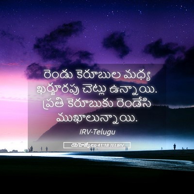 Picture 05 - యెహెజ్కేలు 41:18 TELIRV - రెండు కెరూబుల - Bible Verse Picture