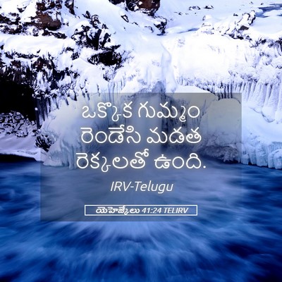 Picture 05 - యెహెజ్కేలు 41:24 TELIRV - ఒక్కొక గుమ్మం - Bible Verse Picture