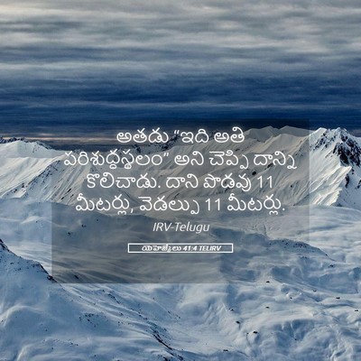 Picture 05 - యెహెజ్కేలు 41:4 TELIRV - అతడు “ఇది అతి - Bible Verse Picture