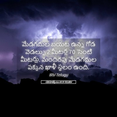Picture 05 - యెహెజ్కేలు 41:9 TELIRV - మేడగదుల బయట ఉన్న - Bible Verse Picture