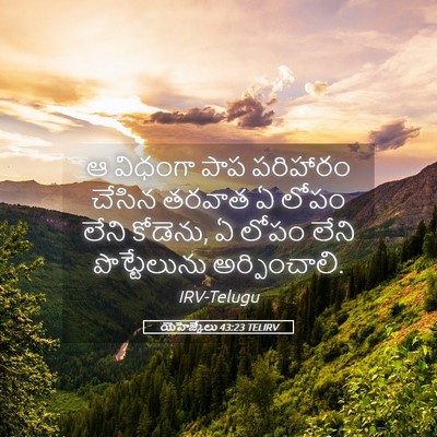 Picture 05 - యెహెజ్కేలు 43:23 TELIRV - ఆ విధంగా పాప - Bible Verse Picture