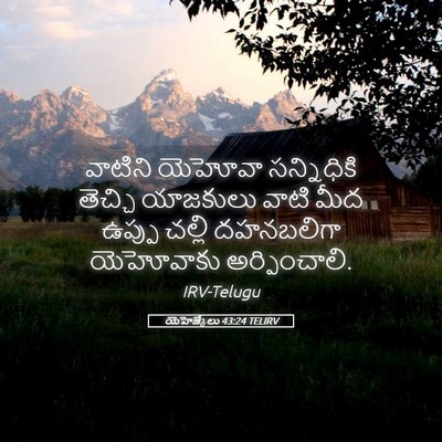 Picture 05 - యెహెజ్కేలు 43:24 TELIRV - వాటిని యెహోవా - Bible Verse Picture